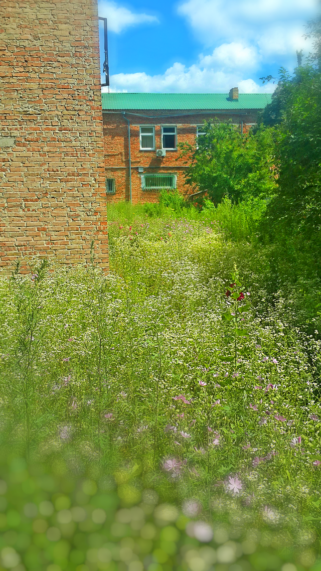 1rtPHOTO_20190703_134956.png