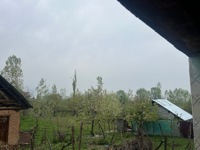 IMG_3329.jpeg