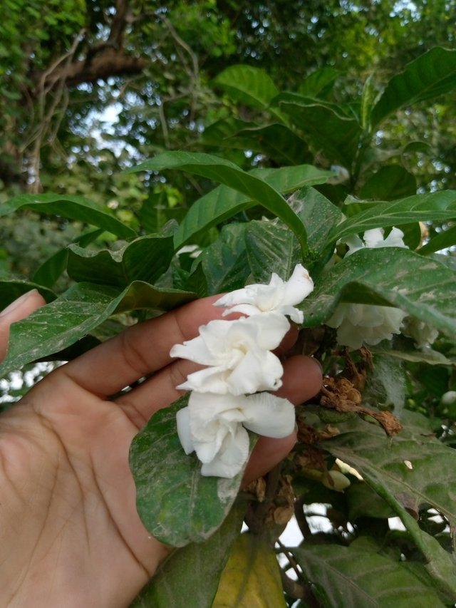 IMG_20210510_165436_181.jpg