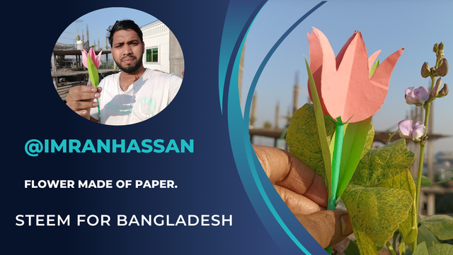 Steem For Bangladesh @imranhassan (44).png