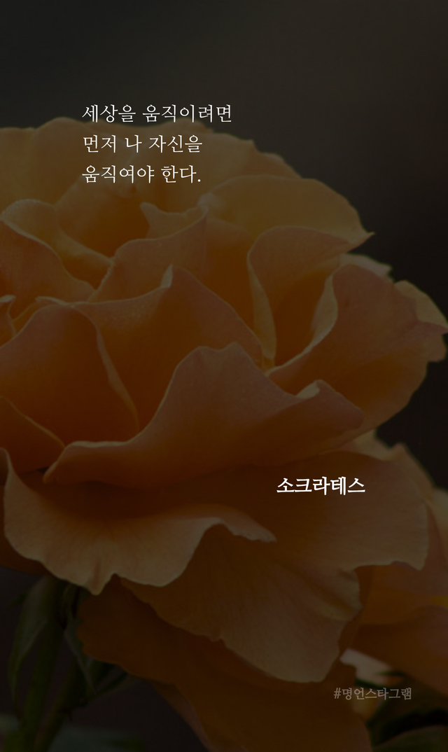 2022-04-12 21_59_06.711573.png