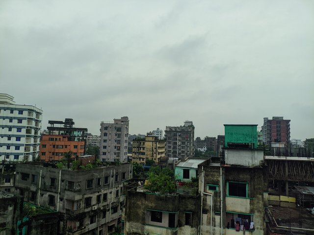 Riyan_20250728_062922047Riyan__🐅The Royal Bengal by Riyan (SG85).jpg