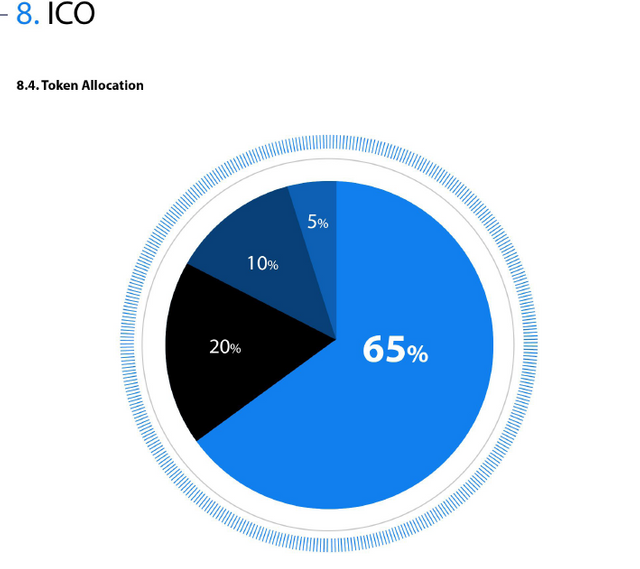 tokenallocation.PNG