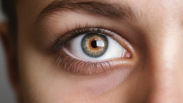 front-view-human-eye.jpg