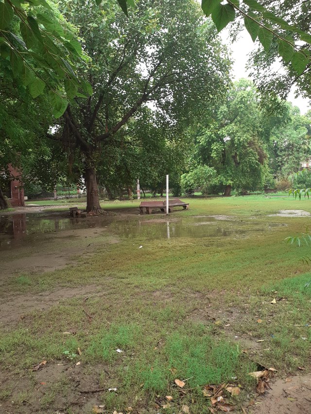 20250714_141526.jpg
