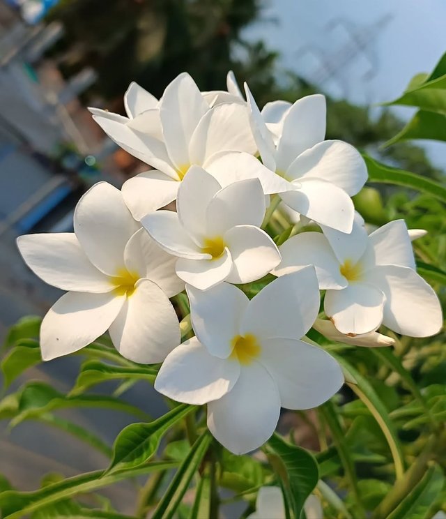IMG_20250820_210054.jpg