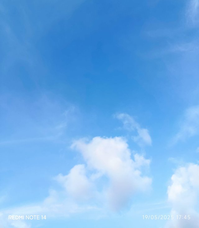 s3.jpg
