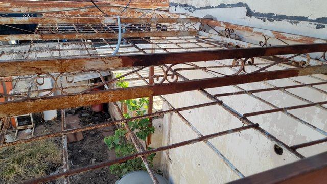 20250910_175000.jpg