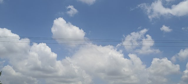 IMG_20230625_125440.jpg