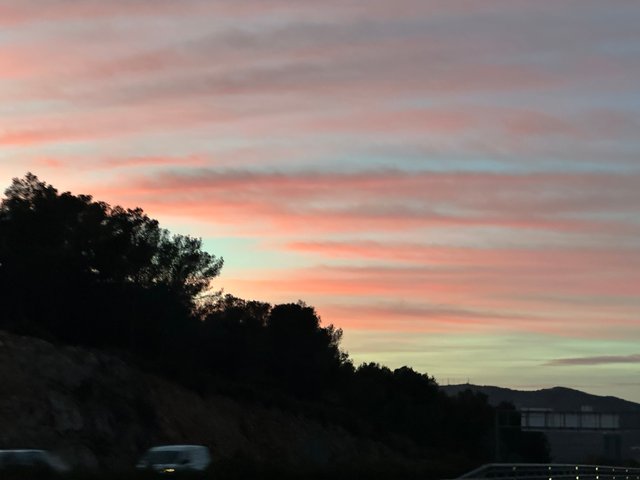 IMG_2537.jpeg