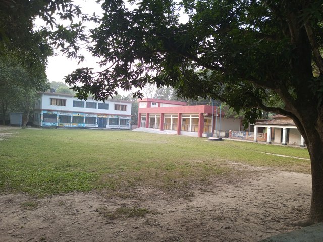 IMG_20241114_162608_060.jpg
