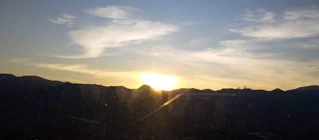 IMG_20250414_175555_1.jpg