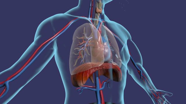 create-medical-animation-3d-medical-animation-medical-3d-animation-video (1).jpg