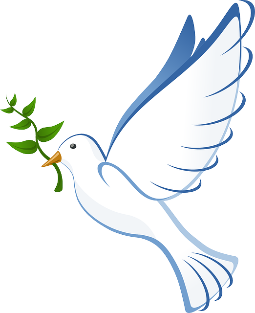 dove-41260_640.png