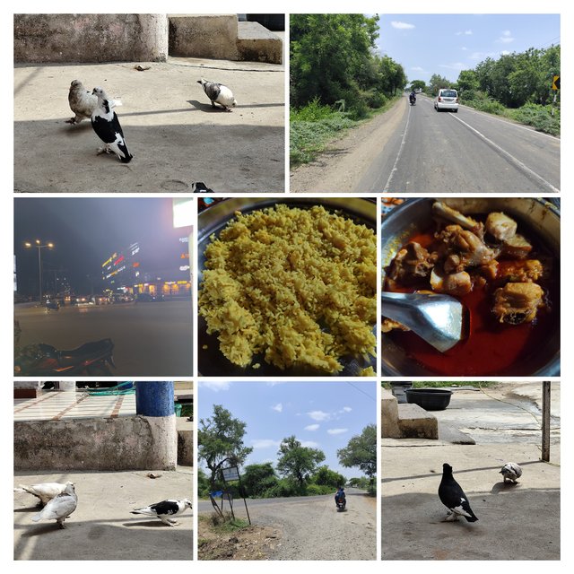 IMG_20250512_204940-COLLAGE.jpg