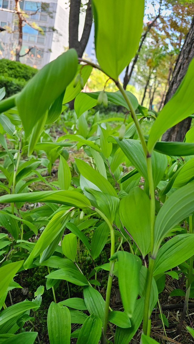 KakaoTalk_20250506_232521359.jpg