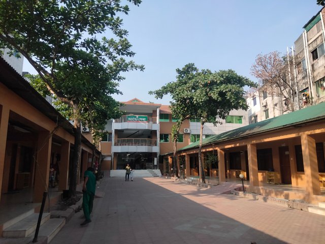IMG20250409160734.jpg