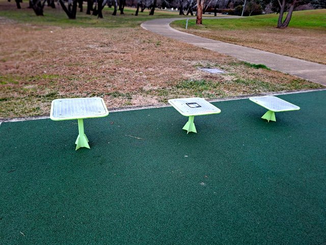 20250727_131410.jpg