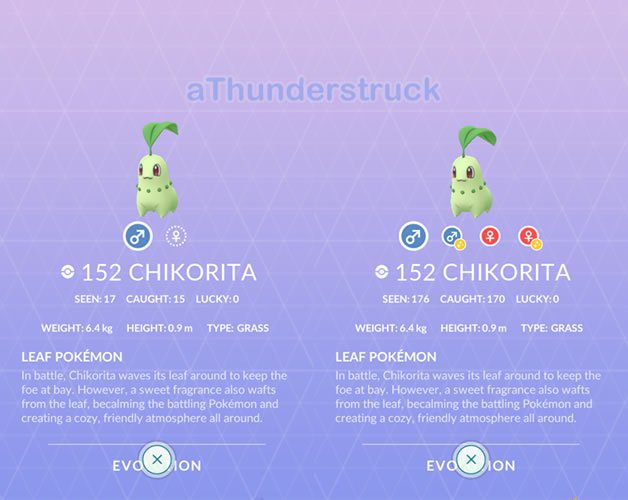 Pokemon 2152 Shiny Chikorita Pokedex: Evolution, Moves, Location, Stats