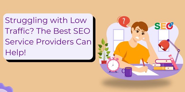 Struggling with Low Traffic The Best SEO Service Providers Can Help!.jpg