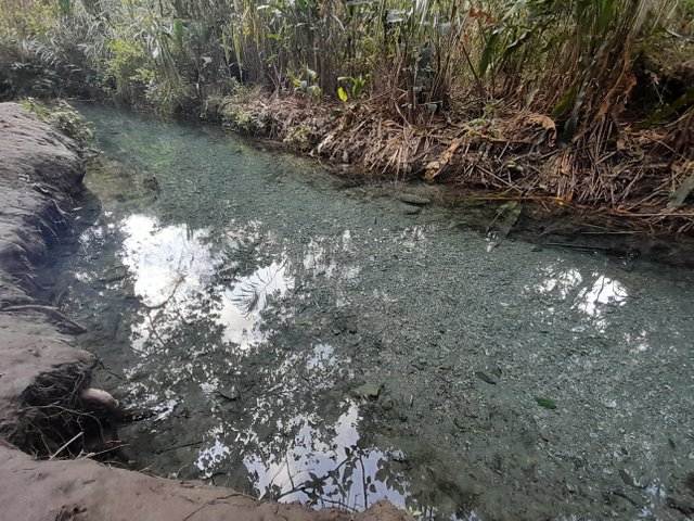 20250315_091340.jpg