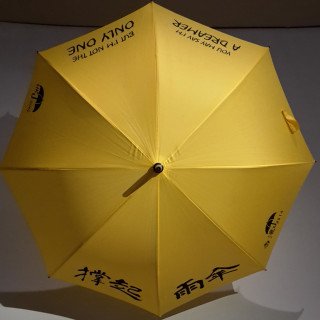IO Yellow Umbrella.jpg