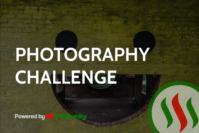photography-contest-1.png