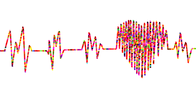 electrocardiogram-gbc3c708e4_1280.png