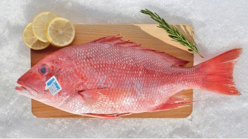 harga-ikan-kakap-merah.jpg