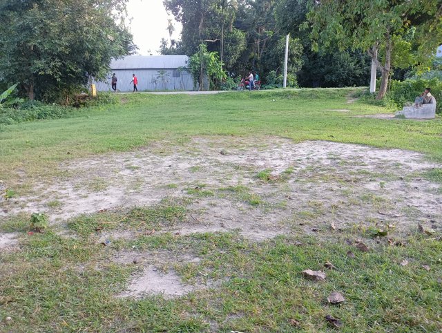 IMG20250725175214.jpg
