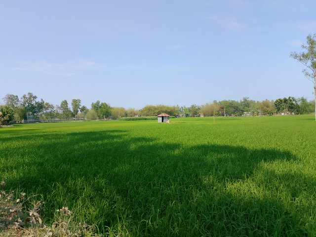 1000032739.jpg