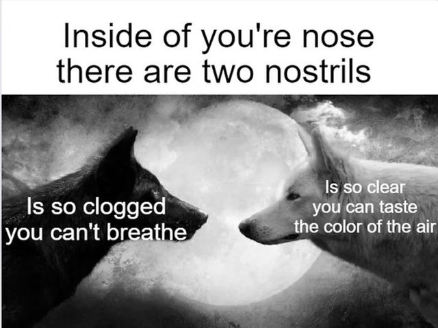 GrBIeGSaAAAjjEJ.jpg