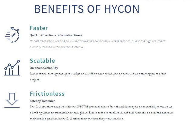 hycoin b.jpg