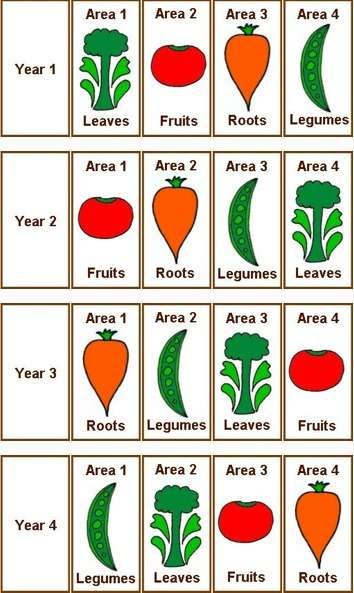 Crop-rotation-4-year-plan.jpg