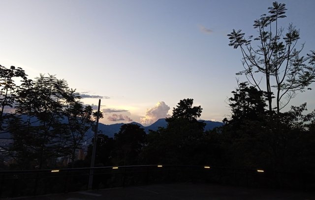 IMG_20250412_180735_1.jpg