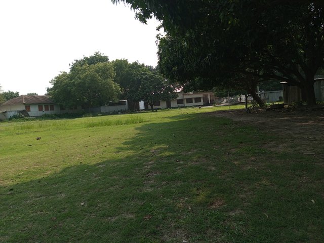IMG_20250426_153708_549.jpg