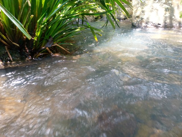IMG_20220404_125328_814.jpg