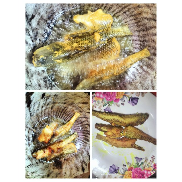 PhotoCollage_1752319329533.jpg