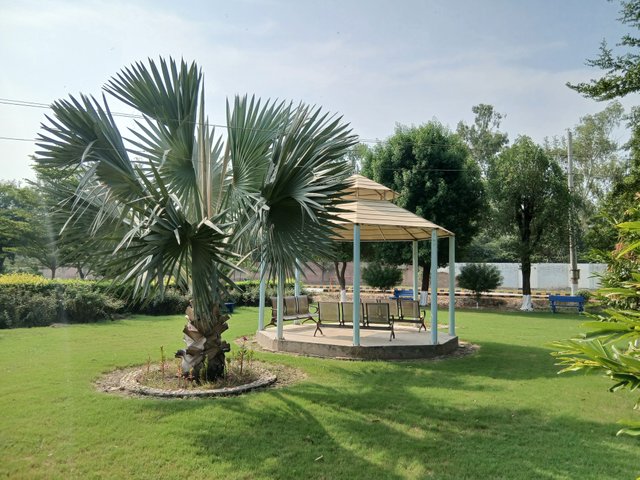 1000081989.jpg