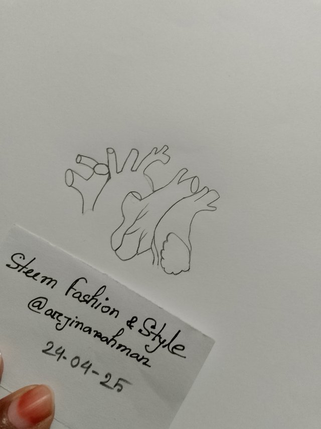 1000053102.jpg