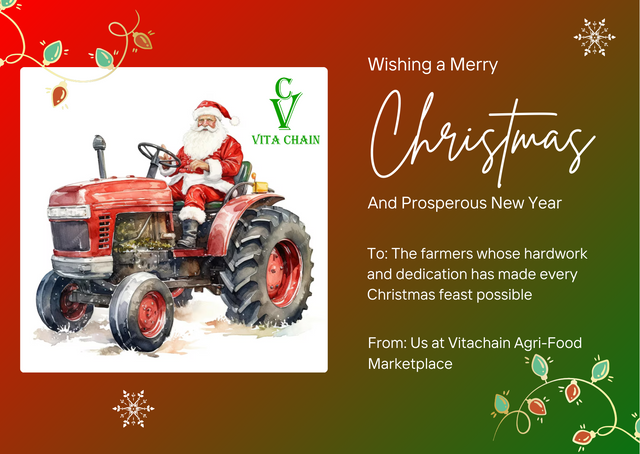 Vitachain Christmas Card 2023.png