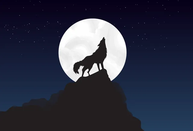 wolf-4561204_1280.webp.png