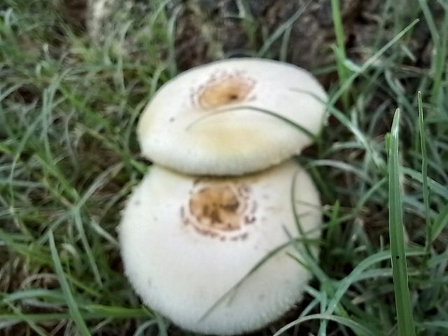 20250524_124037.jpg