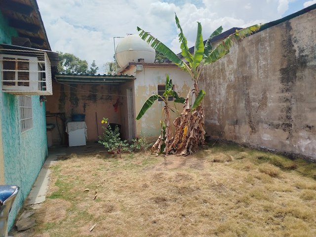 casita3.jpg