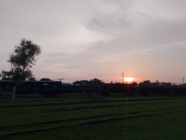 1000001158.jpg