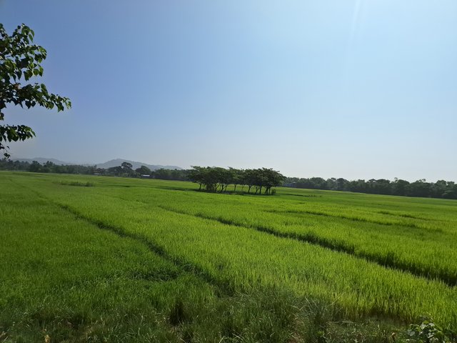 20241022_094842.jpg