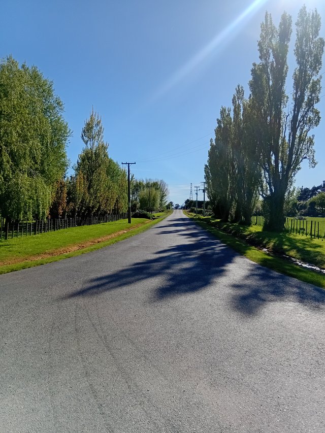 20251017_094706.jpg