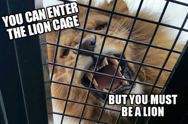 Lion.jpg