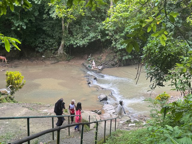 IMG_0324.jpeg