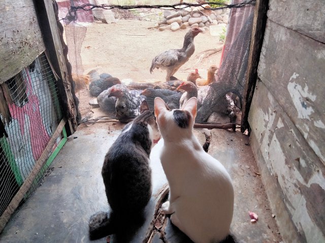 IMG20250803111918.jpg